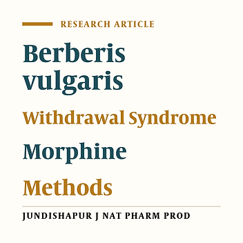 Inhibitory Effect of Berberis vulgaris Aqueous Extract on Acquisition and Reinstatement Effects of Morphine in Conditioned Place Preferences (CPP) in Mice