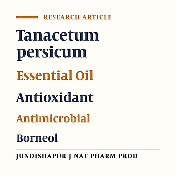 Chemical Composition and Antimicrobial Activity of the Essential Oil of Tanacetum persicum