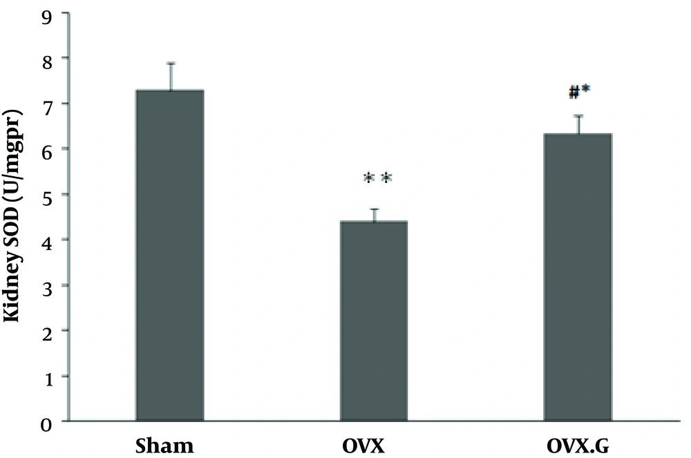 Effect of genistein on SOD level in the kidney of ovariectomized rats. The values represent means ± SEM (n = 10). **P < 0.01 versus sham group. # and * P < 0.05 versus OVX and Sham groups, respectively. Effect of genistein on SOD level in the kidney of ovariectomized rats. The values represent means ± SEM (n = 10). **P < 0.01 versus sham group. # and * P < 0.05 versus OVX and Sham groups, respectively.