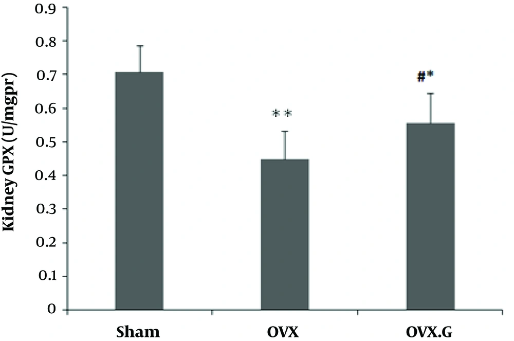 Effect of genistein on GPX level in the kidney of ovariectomized rats. The values represent means ± SEM (n = 10). **P < 0.01 versus sham group. # and * P < 0.05 versus OVX and Sham groups, respectively. Effect of genistein on GPX level in the kidney of ovariectomized rats. The values represent means ± SEM (n = 10). **P < 0.01 versus sham group. # and * P < 0.05 versus OVX and Sham groups, respectively.