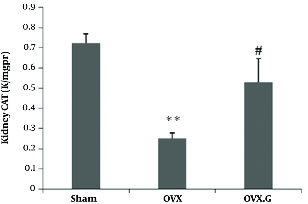 Effect of genistein on CAT level in the kidney of ovariectomized rats. The values represent means ± SEM (n = 10). **P < 0.01 versus sham group. #P < 0.05 versus OVX group. Effect of genistein on CAT level in the kidney of ovariectomized rats. The values represent means ± SEM (n = 10). **P < 0.01 versus sham group. #P < 0.05 versus OVX group.