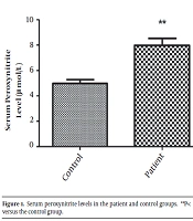 Increased Production of the Potent Oxidant Peroxynitrite in the Serum of Obsessive-Compulsive Disorder Patients