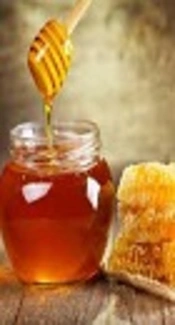Cover image of the article: Inhibitory Effect of Honey on 7,12-Dimethylbenz(a)anthracene- Initiated and Croton Oil-Promoted Skin Carcinogenesis