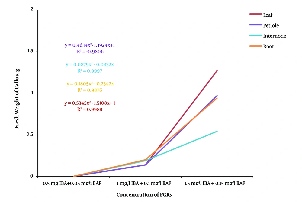 The Effect of Different Concentrations of IBA in Combination with BAP on Callus Fresh Weight in <i>Ficus religiosa</i> The Effect of Different Concentrations of IBA in Combination with BAP on Callus Fresh Weight in <i>Ficus religiosa</i>