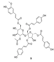 Chemical Constituents of Persicaria sagittata (L.) H.Gross: Antioxidant Activity and Chemotaxonomy Significance