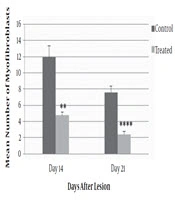 Wound Healing and the Effect of ANNAS; a New Product of AnbarNesa