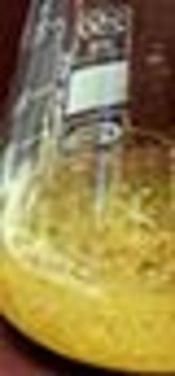 Genetically Transformed Root-Based Culture Technology in Medicinal Plant Cosmos bipinnatus
