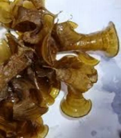 Bioassay-Guided Fractionation and Antimicrobial Activities of Padina australis Extracts
