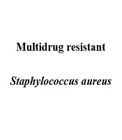 Bacteremia Due to a Multidrug Resistant Staphylococcus aureus: A Case Report of Unsuccessful Treatment