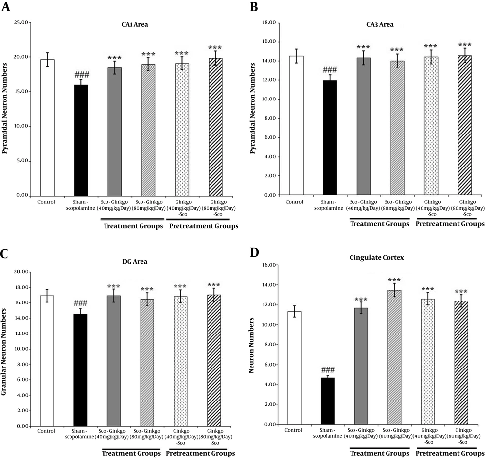 The mean number of neurons in the rat hippocampus (A, B, C) and cingulate cortex (D). Values represent mean. (###) P < 0.001 compared to the control group, (***) P < 0.001 compared to the sham-scopolamine group. The mean number of neurons in the rat hippocampus (A, B, C) and cingulate cortex (D). Values represent mean. (###) P < 0.001 compared to the control group, (***) P < 0.001 compared to the sham-scopolamine group.