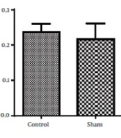 Protective Effect of Dimethyl Fumarate on Memory Impairment After Cerebral Ischemia-Reperfusion Injury in Rats