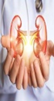 Influence of Deuterium-Depleted Water on Hepatorenal Toxicity