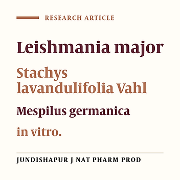 THE EFFECT OF STACHYS LAVANDULIFOLIA VAHL. AND MESPILUS GERMANICA L. LEAVES HYDROALCOHOLIC EXTRACTS ON LEISHMANIA MAJOR (MRHO/IR/75/ER) IN VITRO