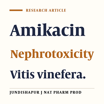 PROTECTIVE EFFECTS OF HYDROALCOHOLIC EXTRACT OF RED GRAPE SEED (VITIS VENIFERA) IN NEPHROTOXICITY INDUCED BY AMIKACIN IN MICE