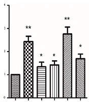 The Effects of Doxorubicin, Ethanol Extract and Flavonoid-rich Fraction of Euphorbia Splendida Mobayen on the PARP Level, and APC Gene Expression in HT-29 Human Colon Cancer Cell Line