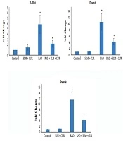 Protection Against Radiation-Induced Duox1 and Duox2 Upregulation in Rat's Lung Tissues by a Combination of Curcumin and L-Selenomethionine