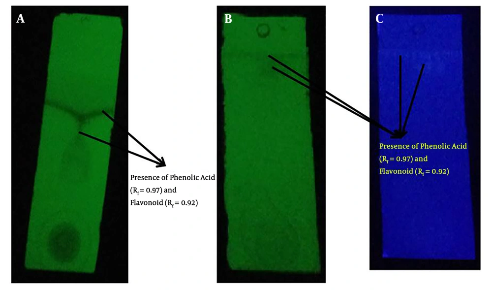 A and B, Visualization of flavonoid and phenolic acid under short UV light; C, visualization of flavonoid and phenolic acid under far UV light A and B, Visualization of flavonoid and phenolic acid under short UV light; C, visualization of flavonoid and phenolic acid under far UV light