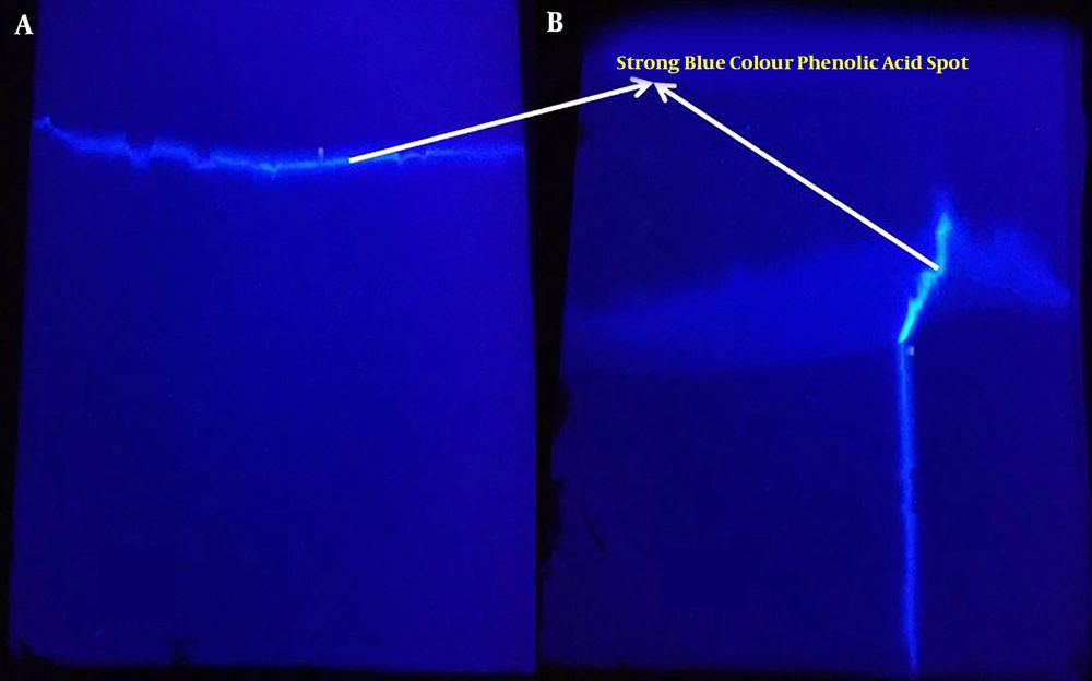 Purification of phenolic acid content using, A, 1D PTLC; B, 2D PTLC technique Purification of phenolic acid content using, A, 1D PTLC; B, 2D PTLC technique