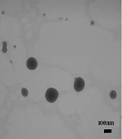 Jundishapur Journal of Natural Pharmaceutical Products