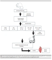 The Combined Effect of High-intensity Interval Training and Soy Isoflavone Diet on MicroRNA-133 Gene in Ovariectomized Rats