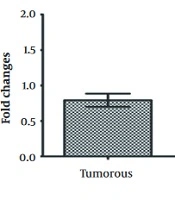 Cover image of the article: Investigation of Clinical Significant Utility of LncRNA-LINC02389 in Patients with Esophageal Squamous Cell Carcinoma