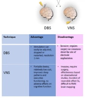 The Effects of Transcranial ‎Direct Current Stimulation Over the Dorsolateral Prefrontal Cortex ‎on Cognitive Dysfunction in Alzheimer’s Disease: A Narrative Review