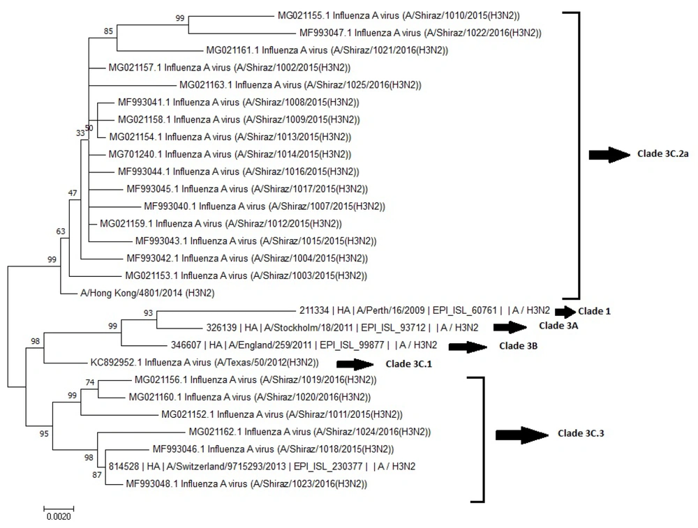 Phylogenetic analysis of the HA1 sequence Phylogenetic analysis of the HA1 sequence