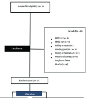 Cover image of the article: Investigating the Effect of Nintendo Wii Games on Clinical and Neural Properties of Ankle Spasticity in Patients with Stroke: A Randomized Clinical Trial