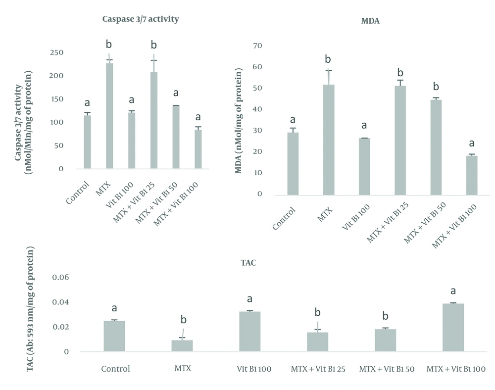 Evaluation of the caspase 3&7, MDA, total antioxidant capacity (TAC) activity of the testicular tissue. Dissimilar letters indicate significant differences between groups (P ≤ 0.05). Evaluation of the caspase 3&7, MDA, total antioxidant capacity (TAC) activity of the testicular tissue. Dissimilar letters indicate significant differences between groups (P ≤ 0.05).