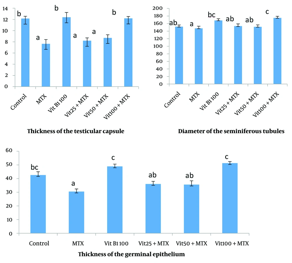 Evaluation of the thickness of the testicular capsule, the diameter of the seminiferous tubules and the thickness of the germinal epithelium. Dissimilar letters indicate significant differences between groups (P ≤ 0.05). Evaluation of the thickness of the testicular capsule, the diameter of the seminiferous tubules and the thickness of the germinal epithelium. Dissimilar letters indicate significant differences between groups (P ≤ 0.05).