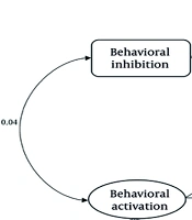 The Mediating Role of Rumination in the Relationship Between Brain-Behavioral Systems and Gender Dysphoria in Adolescent