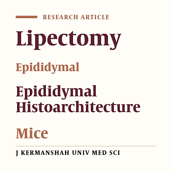 Stereological, Morphometric and Morphological assessment of Changes Induced by Bilateral Epididymal Lipectomy in Mouse Testicular Histoarchitecture