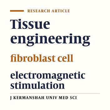 Induction of growth and proliferation of fibroblast cells in magnetic field