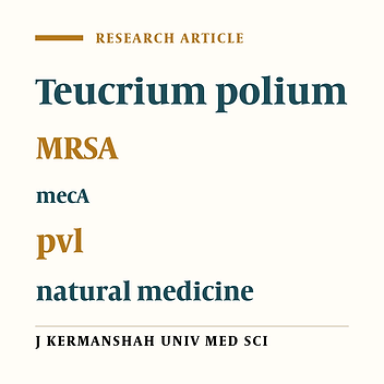 The antibacterial properties of methanolic extract of Teucrium polium against MRSA