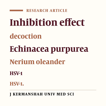 Inhibitory effect of aqueous extract of Echinacea purpurea and Nerium oleander on HSV-1 multiplication