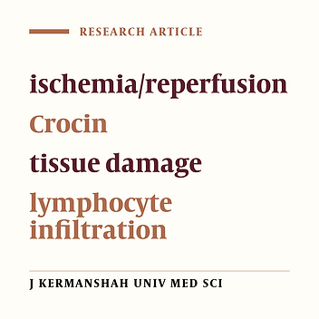 The effect of Crocin on the renal tissue damages and leukocyte infiltration induced by ischemia-reperfusion among rats