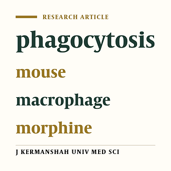 The effect of morphine on phagocytosis of peritoneal phagocytes of mice