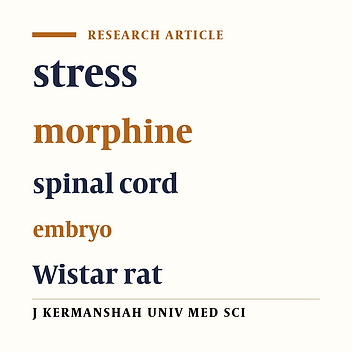 The effect of uncontrolled stress and morphine consumption on spinal cord development in Wistar rats’ embryo
