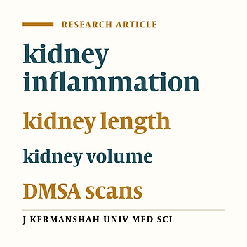 Diagnostic value of kidney length and volume in sonography for determining kidney scar among infants with urinary infection