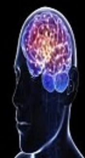 Effect of Motor Exercises on Serum Level of Brain-Derived Neurotrophic Factor and Executive Function in Children with Dysgraphia