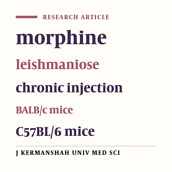 Effect of daily injection of morphine on leishmaniose infection in mice