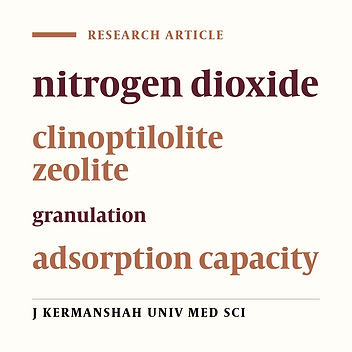 Determinants of natural zeolite clinoptilolite adsorption capacity for removing NO2