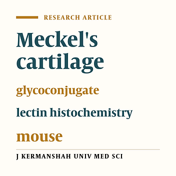 The developmental changes in certain glycoconjugates during the development of Meckel's cartilage in the mouse