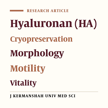 The Effect of Hyaluronan on Morphology, Motility and Vitality of Mouse Sperm before Cryopreservation and After the Thawing