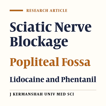 The Effect of Adding Phentanil to Lidocaine in Sciatic Nerve Blockage of Popliteal Fossa on the Period, Extent and Complications of Nerve Blockage in the Patients Underwent Lower Limb Surgery