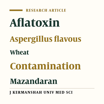 The Contamination Rate of Stored Wheat Samples of Mazandaran Province by Aspergillus Flavous and Aflatoxin (2003)