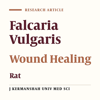 The Effect of the "Falcaria Vulgaris" on Deep Skin Wound Remodeling Time and Skin Tension Power in Rats