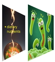Factors Affecting Gut Microbiota and Its Relationship with Cardiovascular Diseases: A Narrative Review