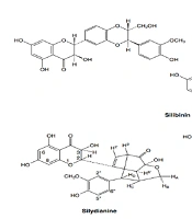Molecular Docking of Silymarin as a Ligand for Aromatase Enzyme and HIV-1 Reverse Transcriptase Using Molegro Virtual Docker