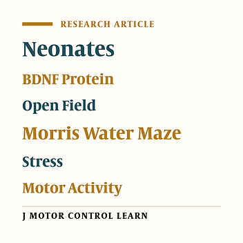 Does Swimming Moderate the Negative Effects of Maternal Deprivation on Hippocampal BDNF Levels, Spatial Learning and Motor Function?